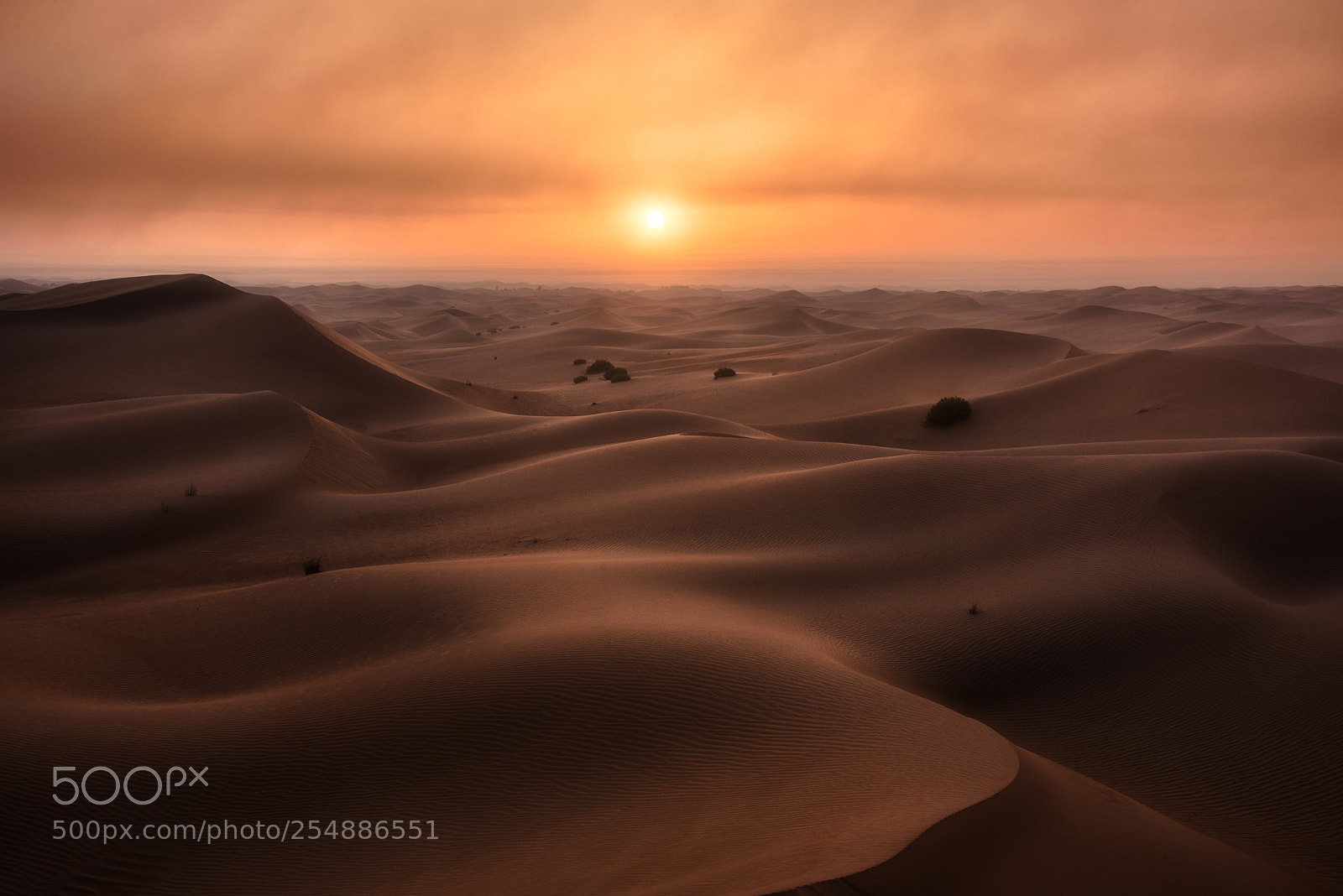 Nikon D750 sample photo. Desert sunrise photography