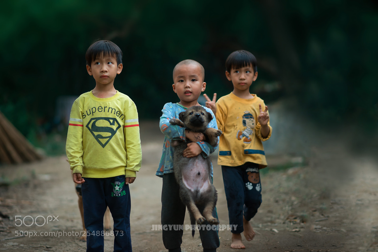 Nikon D810 sample photo. Untitled photography