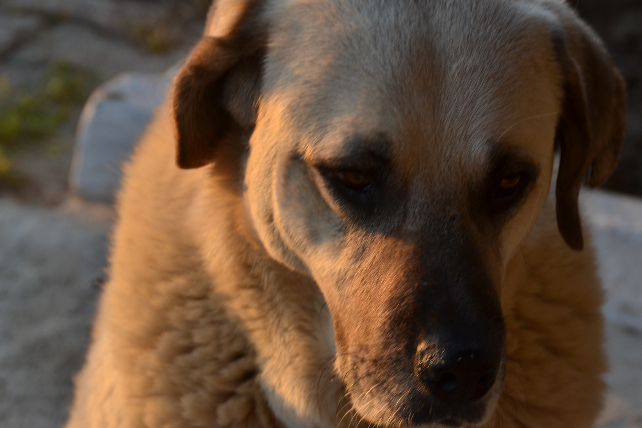 Nikon D3100 sample photo. Portrait photography