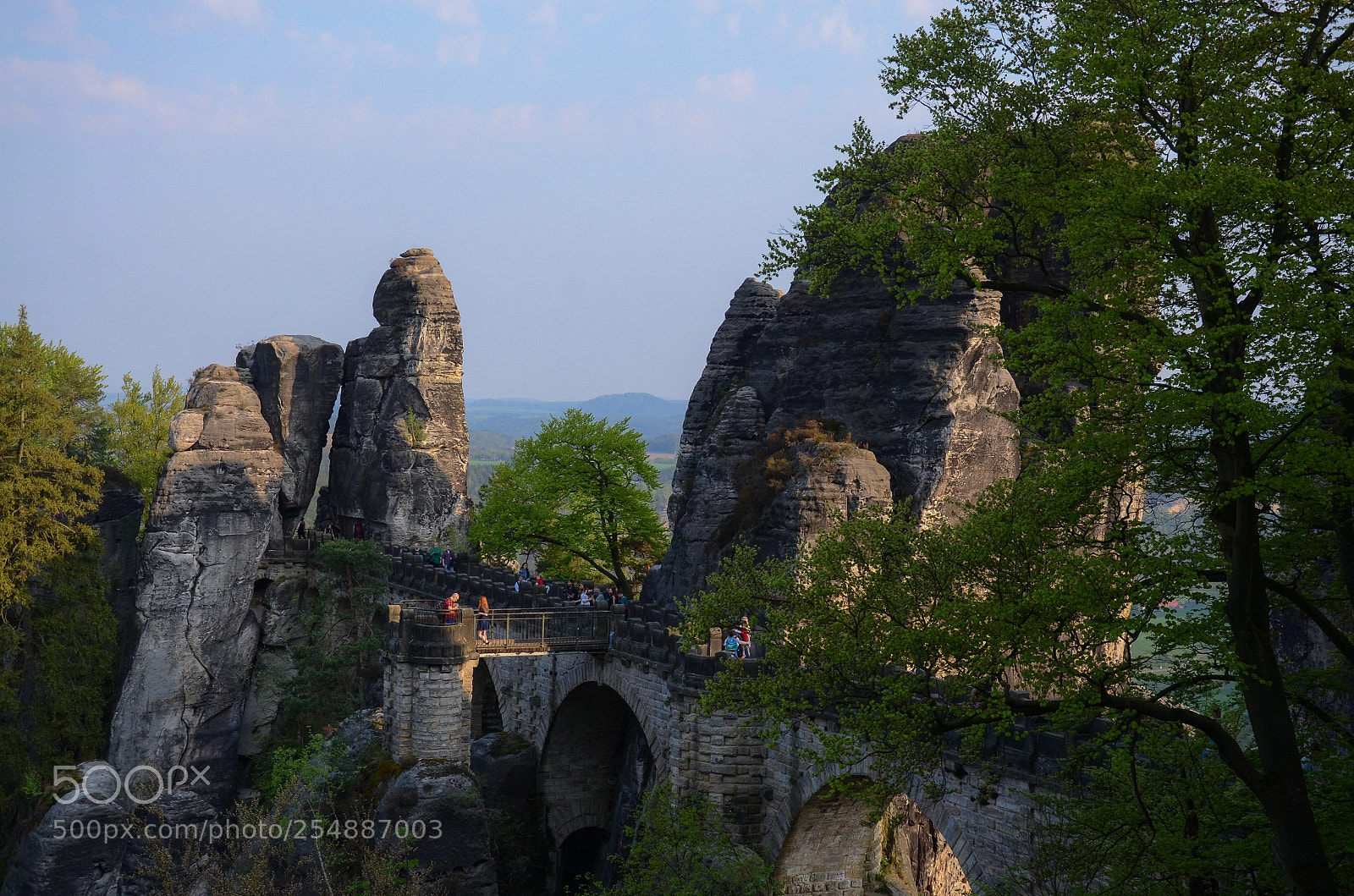 Nikon D7000 sample photo. Bridge photography
