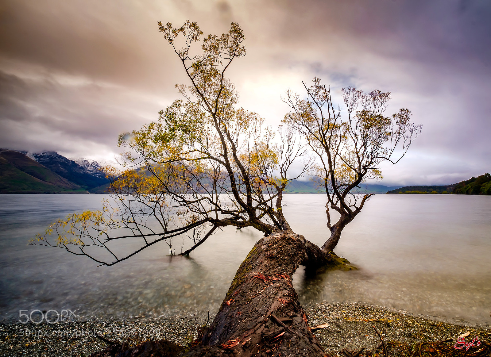 Fujifilm X-T2 sample photo. Lake wakatipu 2 photography