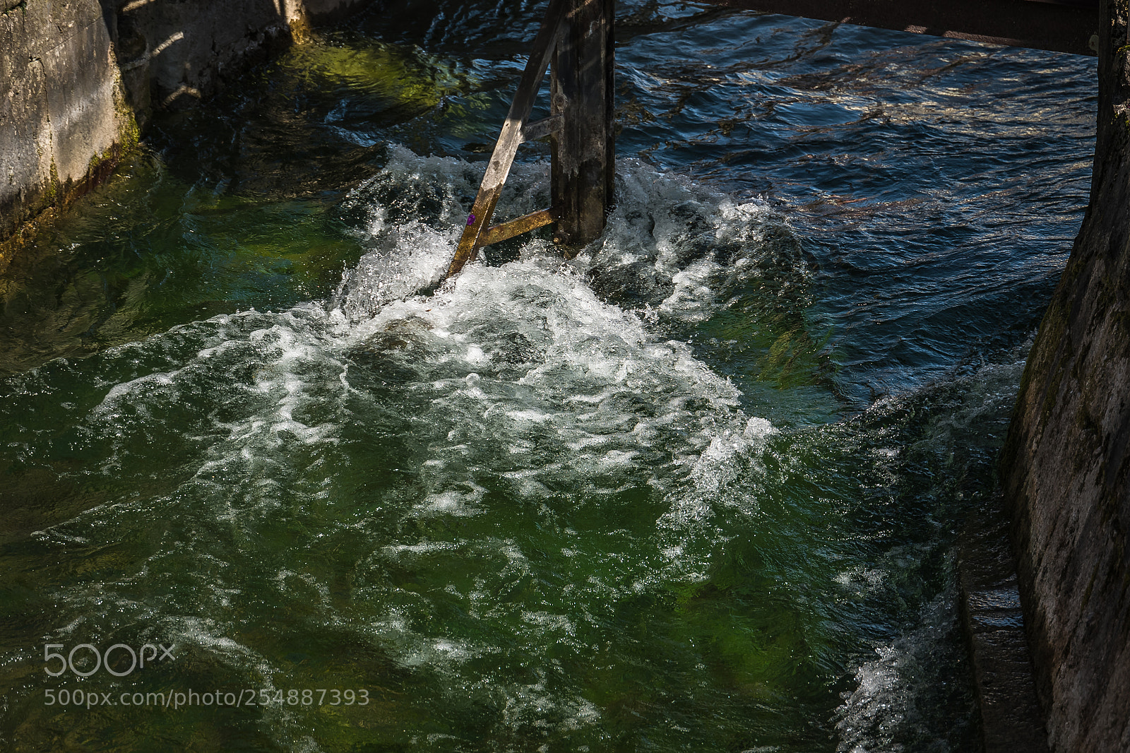 Leica SL (Typ 601) sample photo. L photography