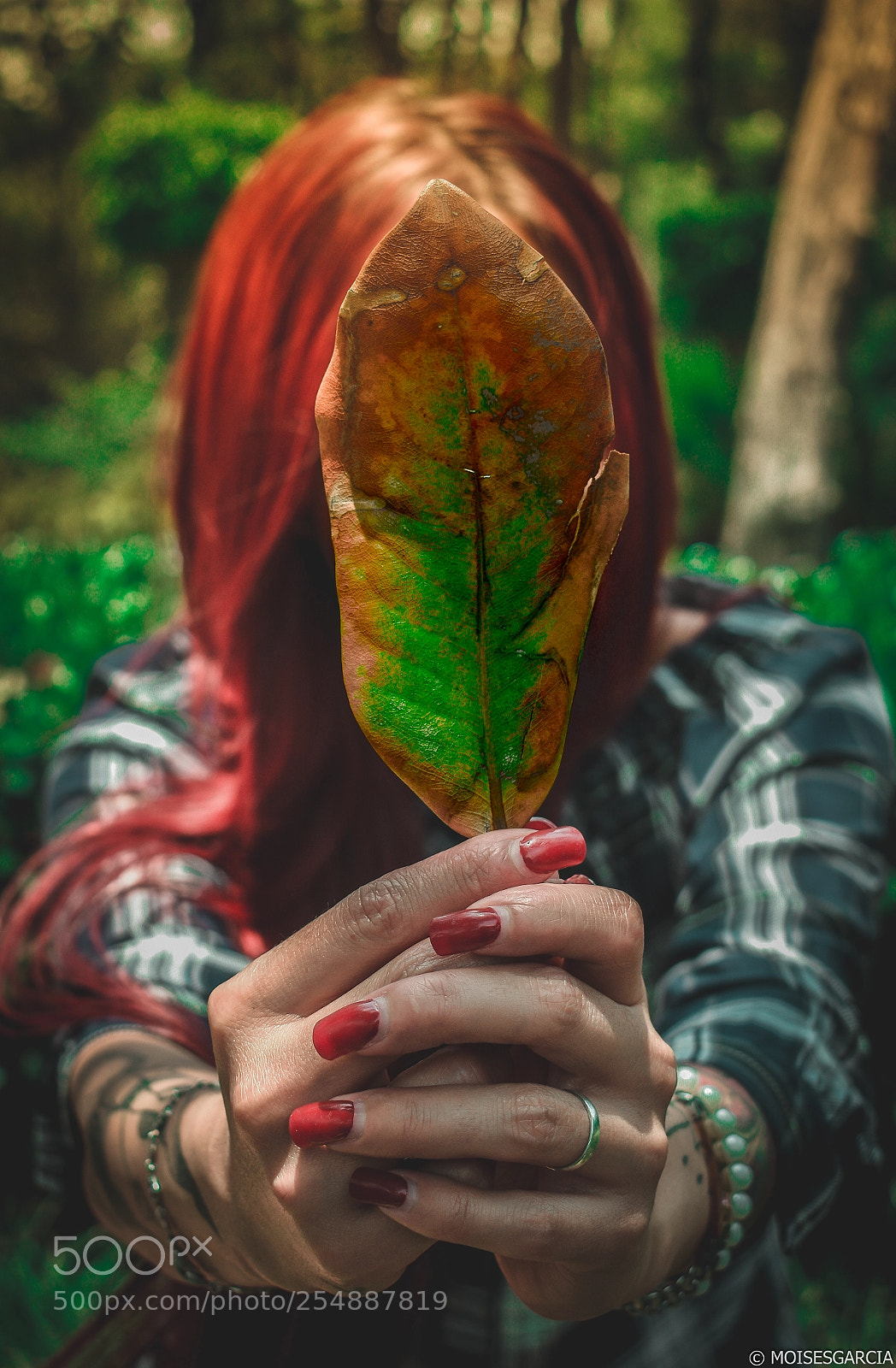 Nikon D3400 sample photo. We are part of photography