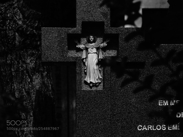 Sony Cyber-shot DSC-RX10 III sample photo. Untitled photography