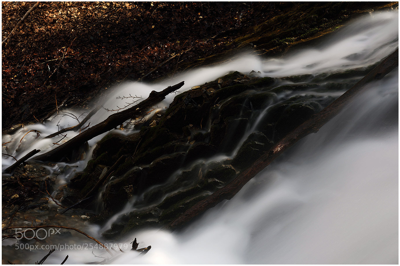 Nikon D810 sample photo. Desenski potok 2 photography