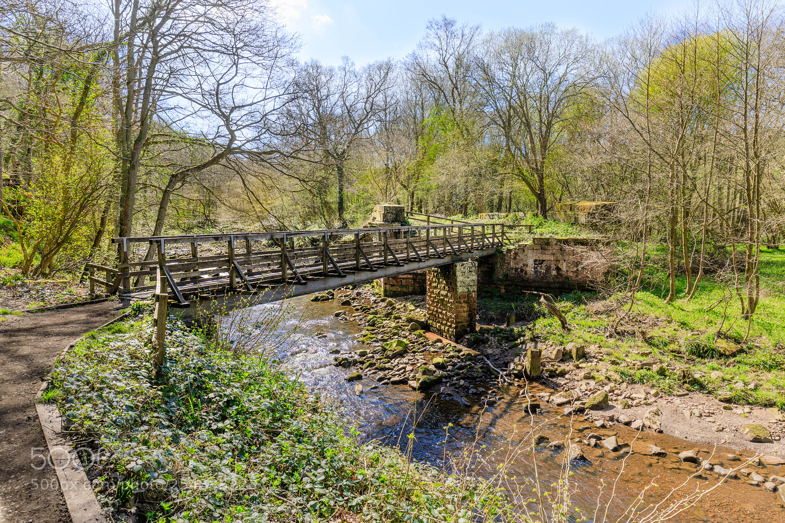 Canon EOS 5D Mark IV sample photo. Bridge over the murk photography