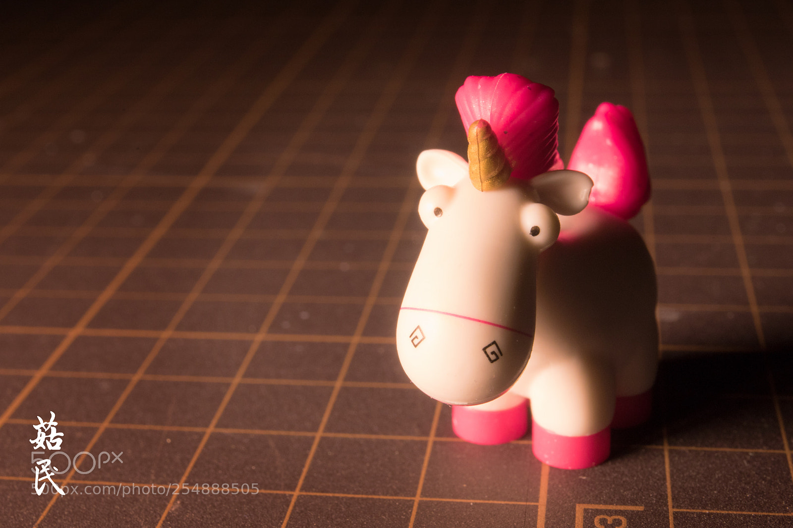 Canon EOS 5D Mark IV sample photo. Always be yourself. photography