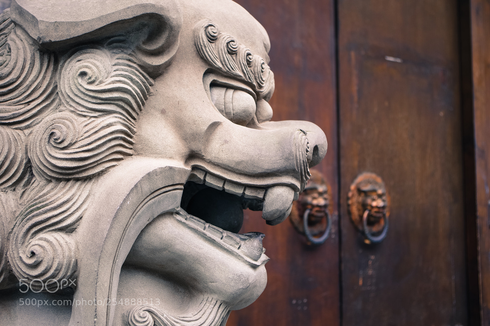 Pentax K-70 sample photo. Untitled photography