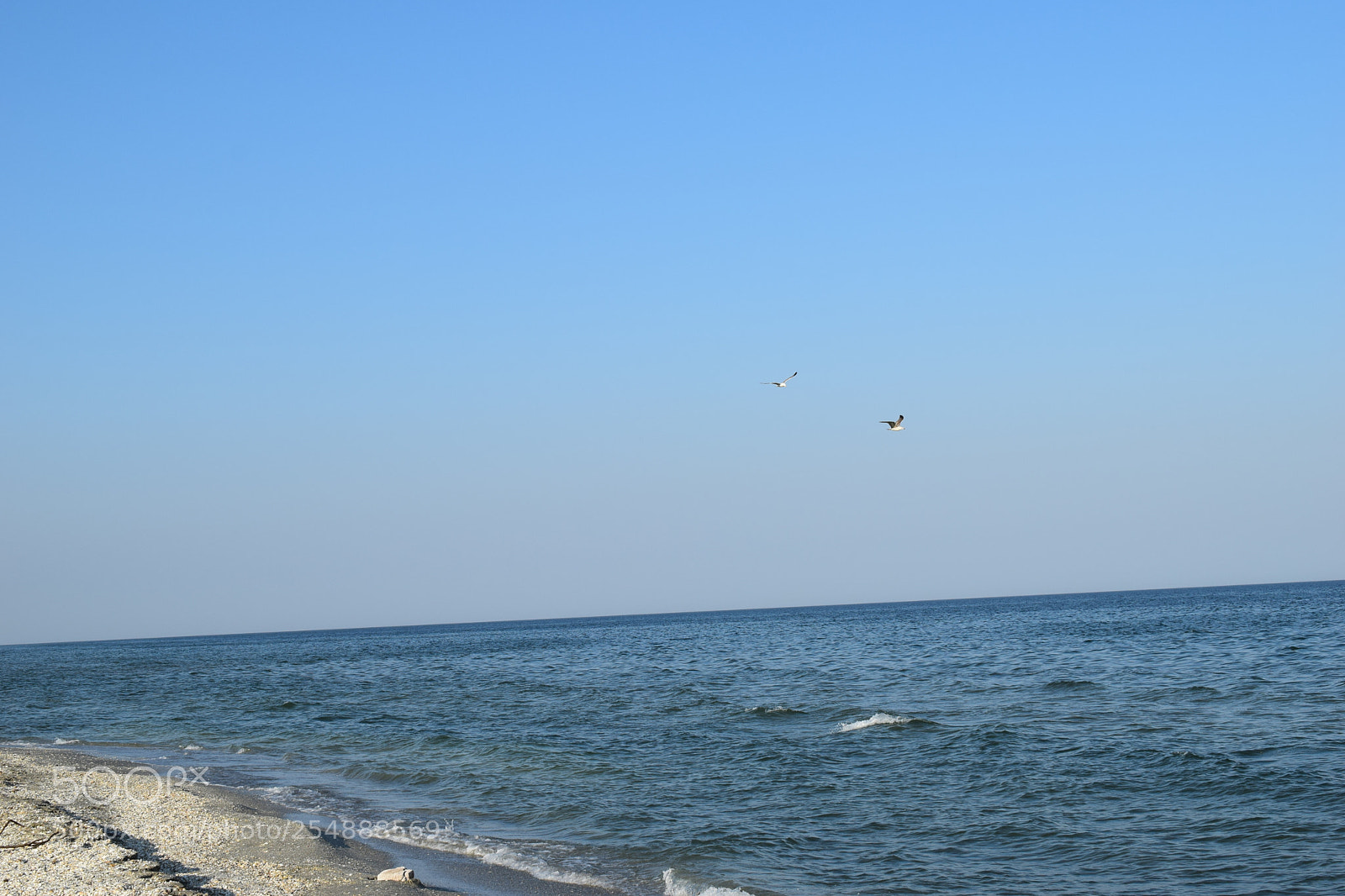Nikon D5300 sample photo. Dsc photography