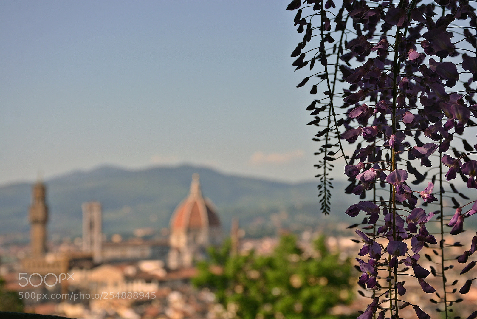 Nikon D7100 sample photo. Blurred vision photography