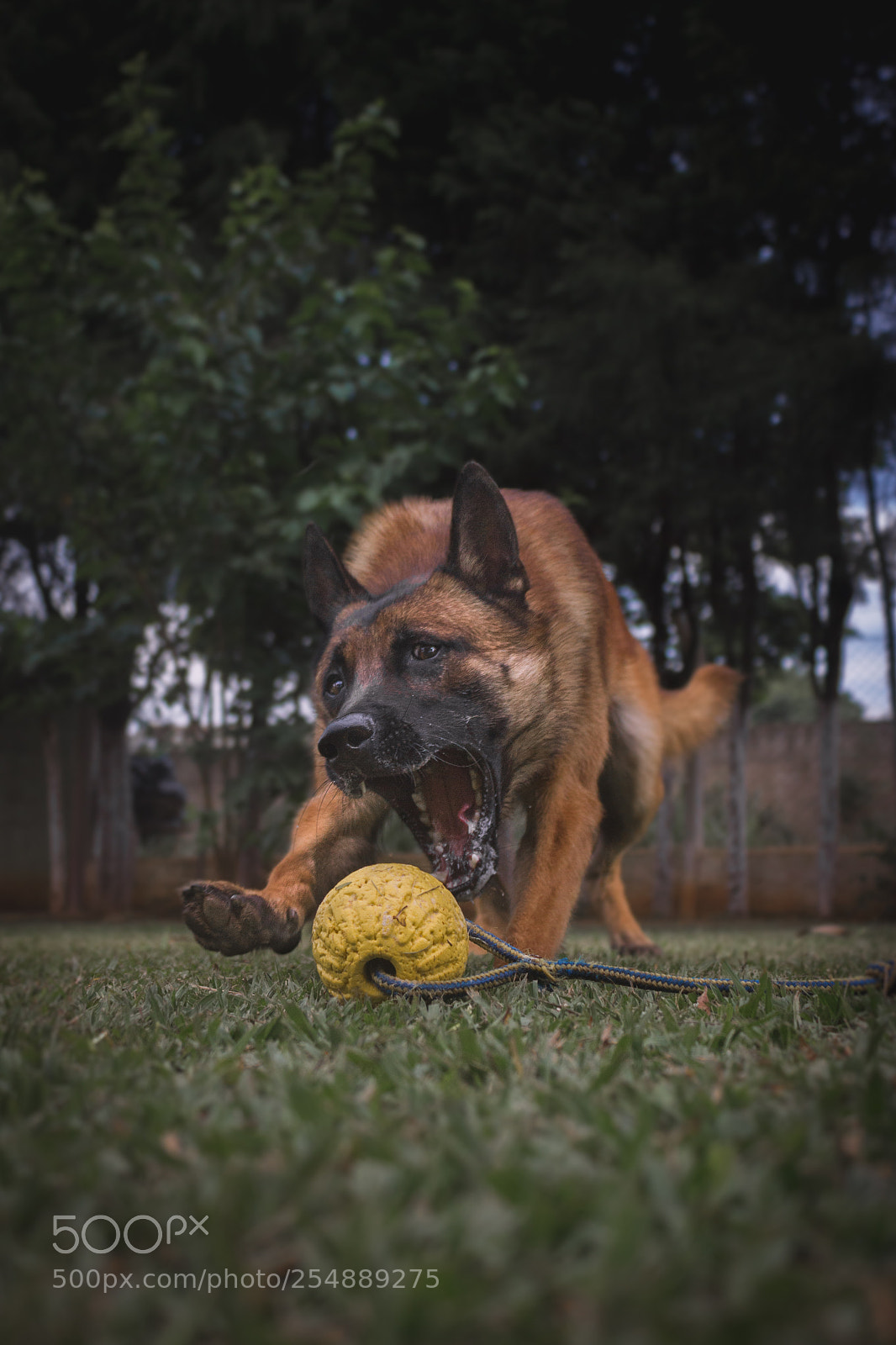 Canon EOS 600D (Rebel EOS T3i / EOS Kiss X5) sample photo. Eros photography