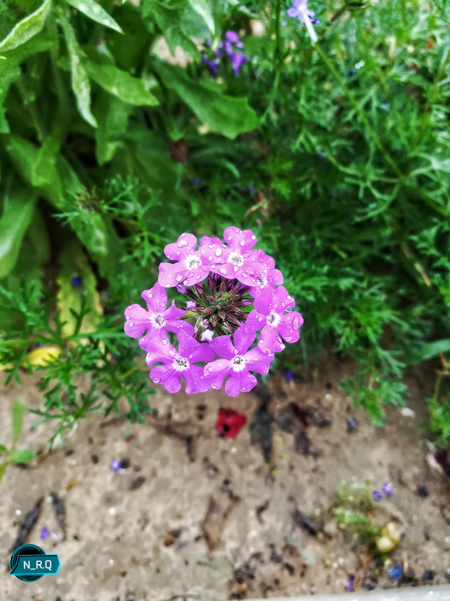 HUAWEI GR5 2017 sample photo