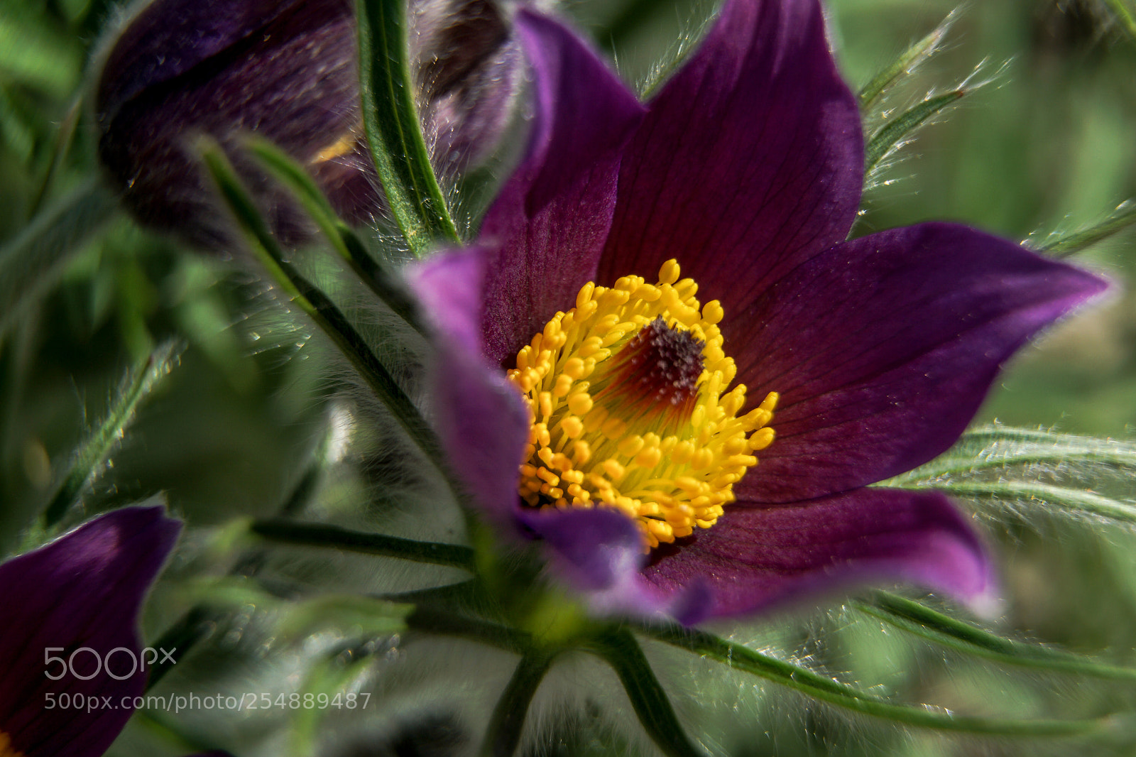 Sony a6000 sample photo. Dsc photography
