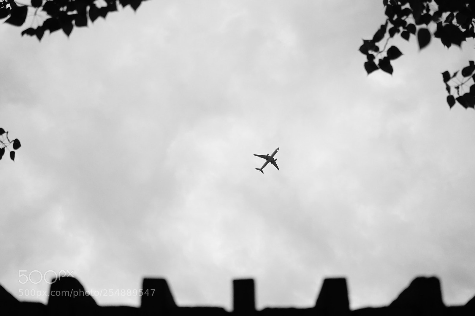 Sony a6300 sample photo. The flight photography
