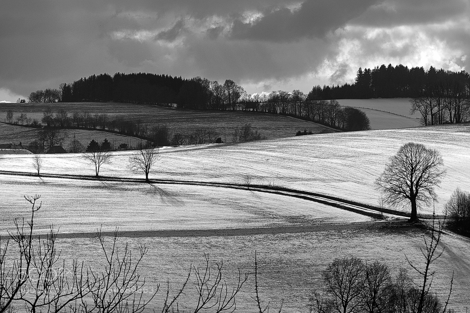 Canon EOS 70D sample photo. B&w landscape xiii photography