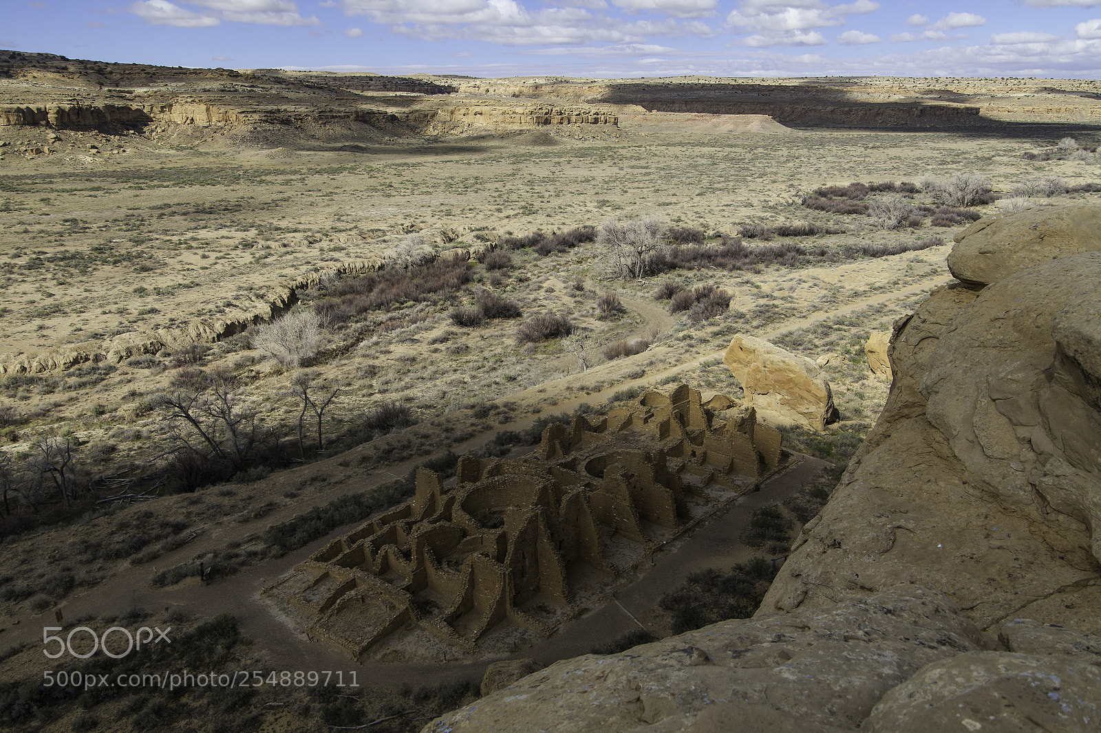 Canon EOS 5D Mark II sample photo. Crow's eye view photography