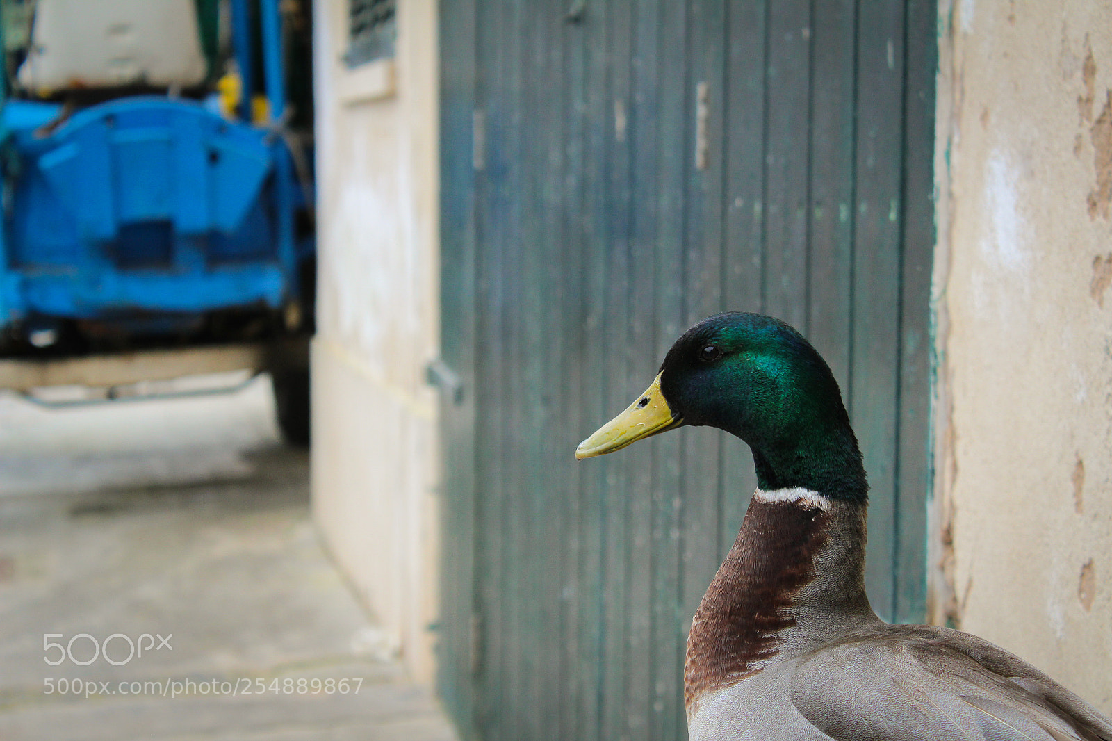Canon EOS 1300D (EOS Rebel T6 / EOS Kiss X80) sample photo. Harbour photography