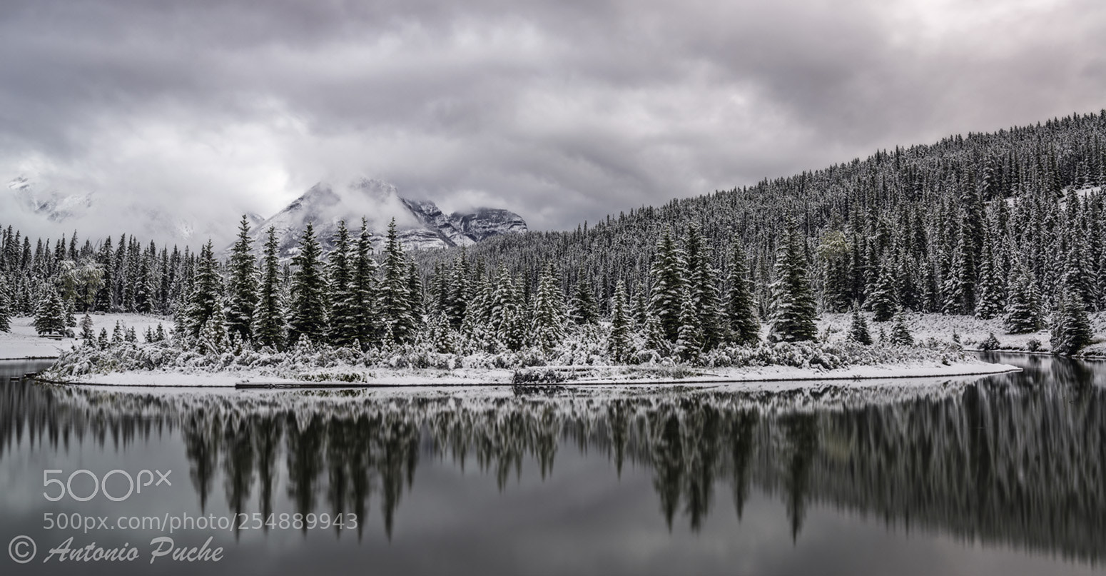 Nikon D800 sample photo. Cold reflections photography