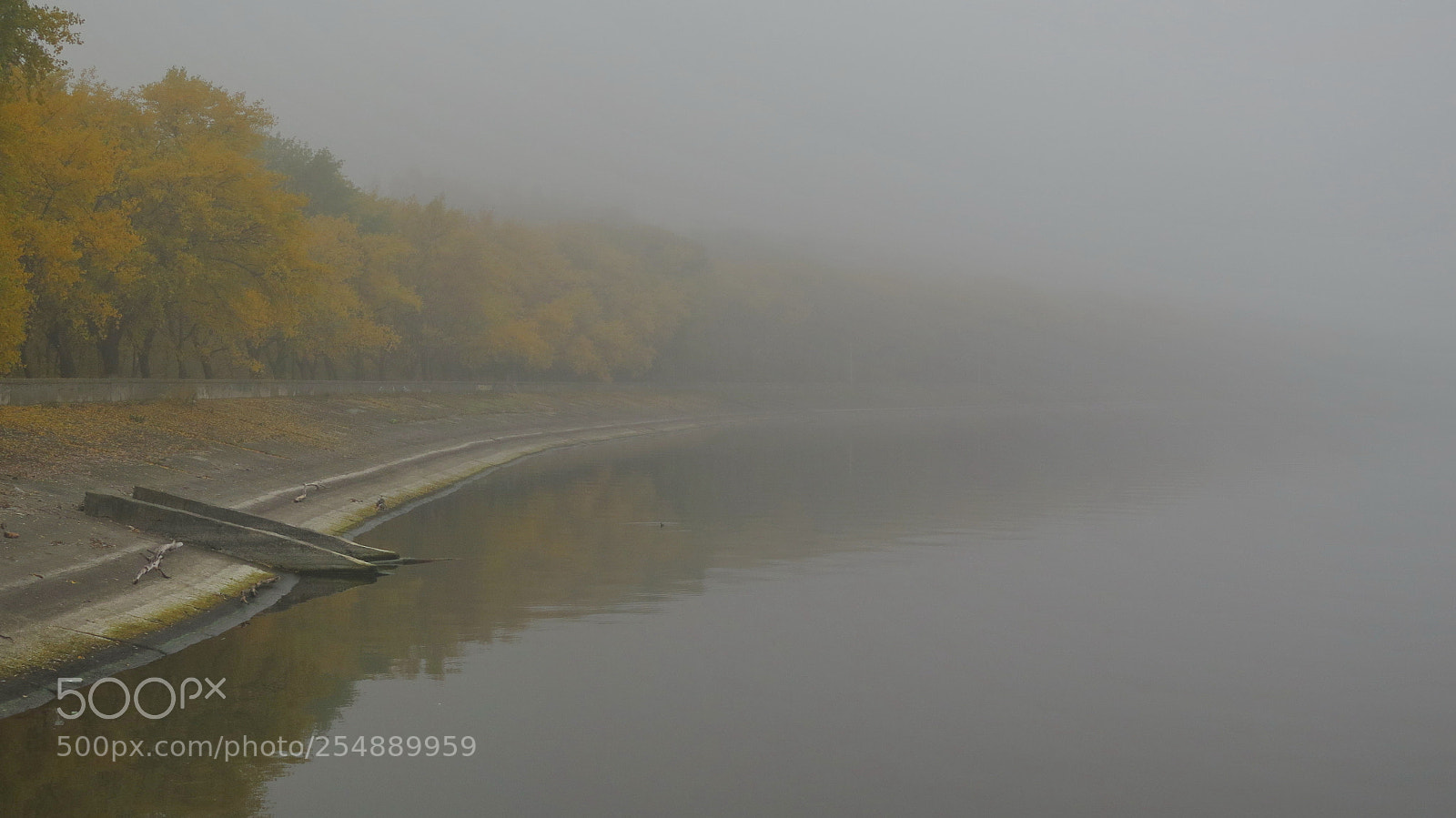 Canon PowerShot G16 sample photo. Autumn fog photography
