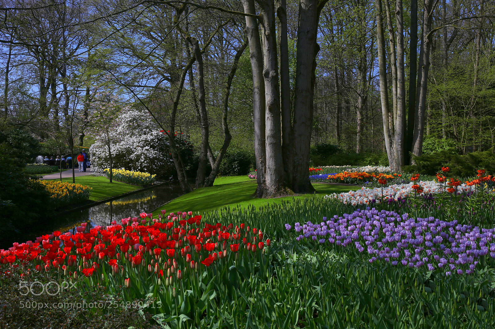 Canon EF 24-70mm F4L IS USM sample photo. Keukenhof photography
