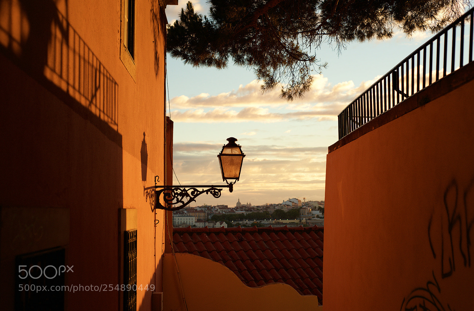 Nikon D800 sample photo. Orange scenery photography