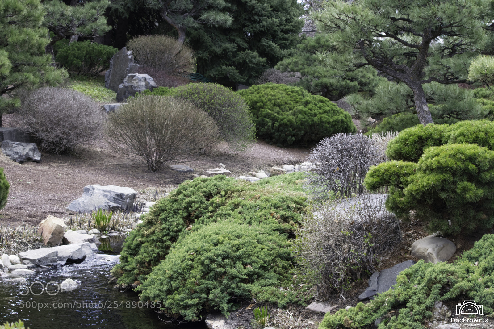 Nikon D5300 sample photo. Winter garden photography