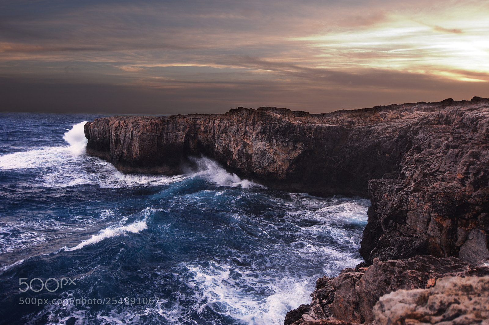 Nikon D7200 sample photo. Capo murro di porco photography