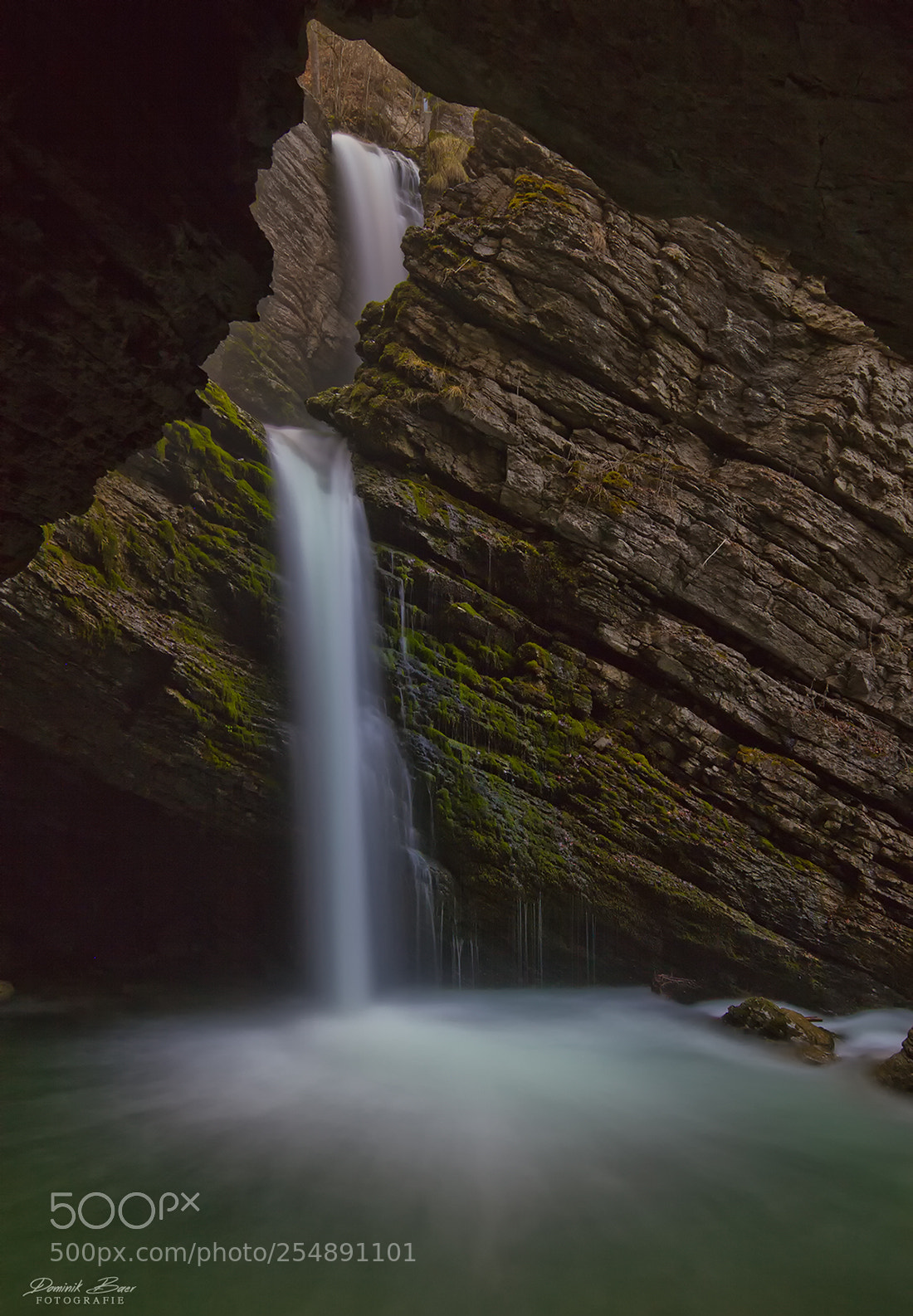 Canon EOS 5D Mark II sample photo. The shapes of nature photography