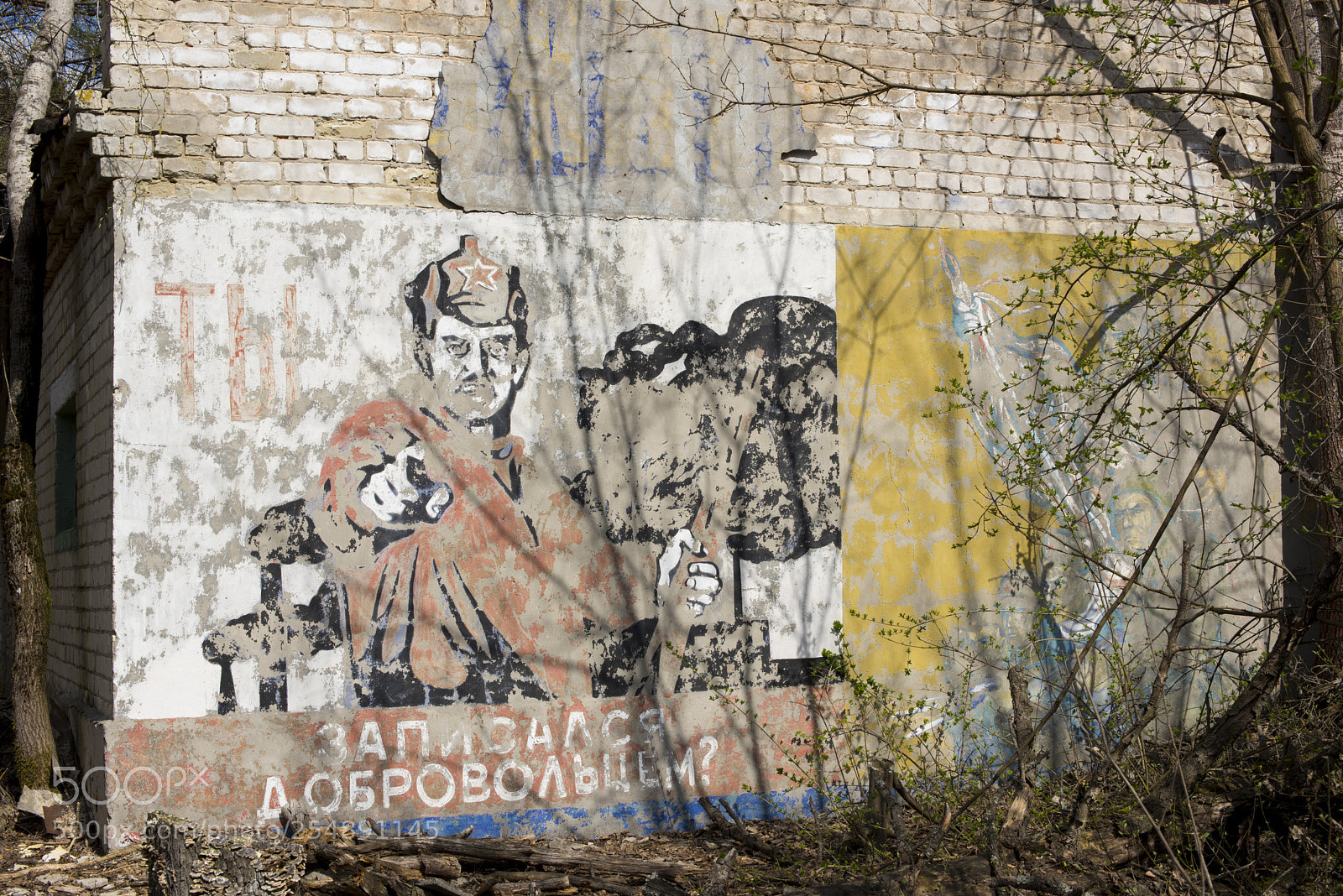 Nikon D810 sample photo. Soviet propaganda painting on photography
