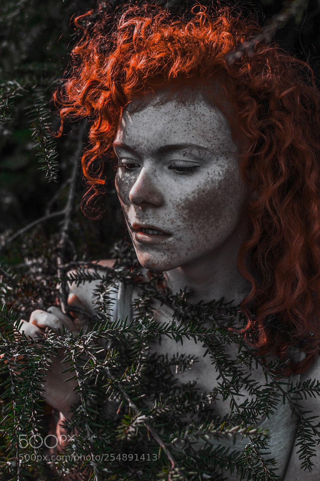Nikon D700 sample photo. Natural forest beauty photography