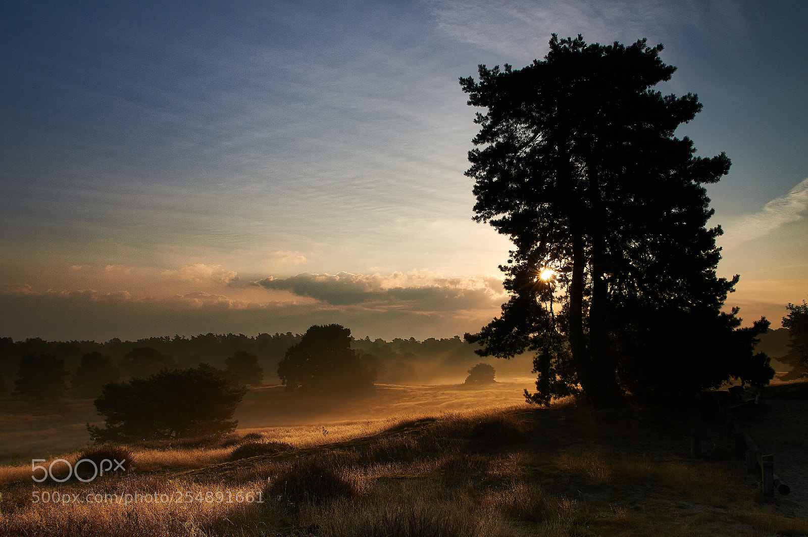 Nikon D300 sample photo. Surise ii photography