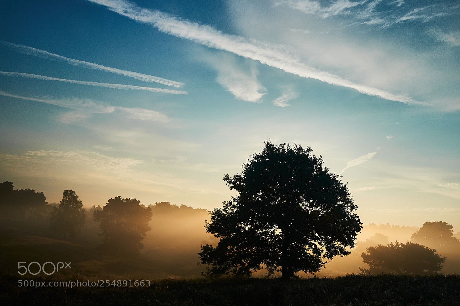 Nikon D300 sample photo. Surise i photography