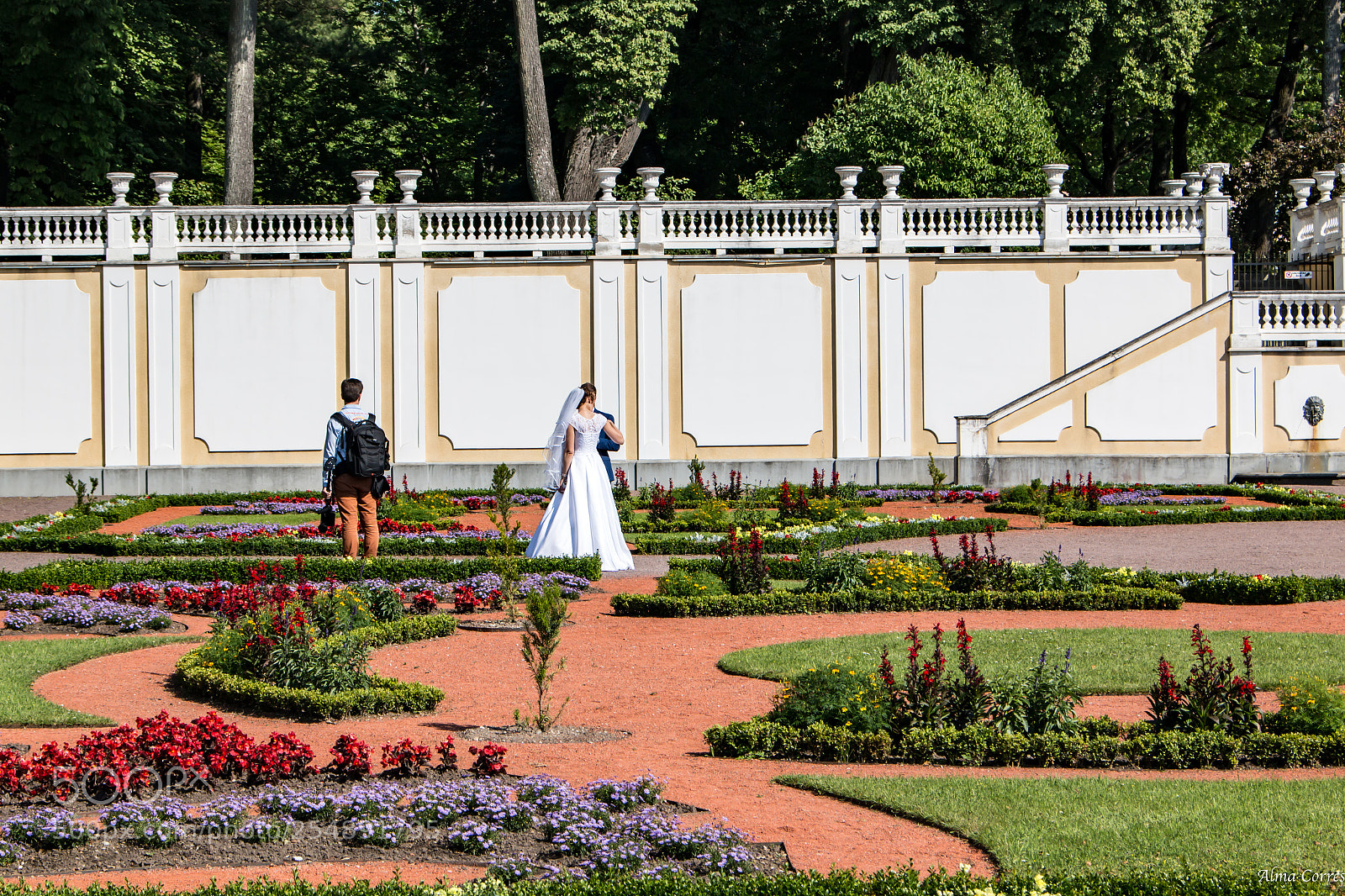 Canon EOS 70D sample photo. A bride in the photography