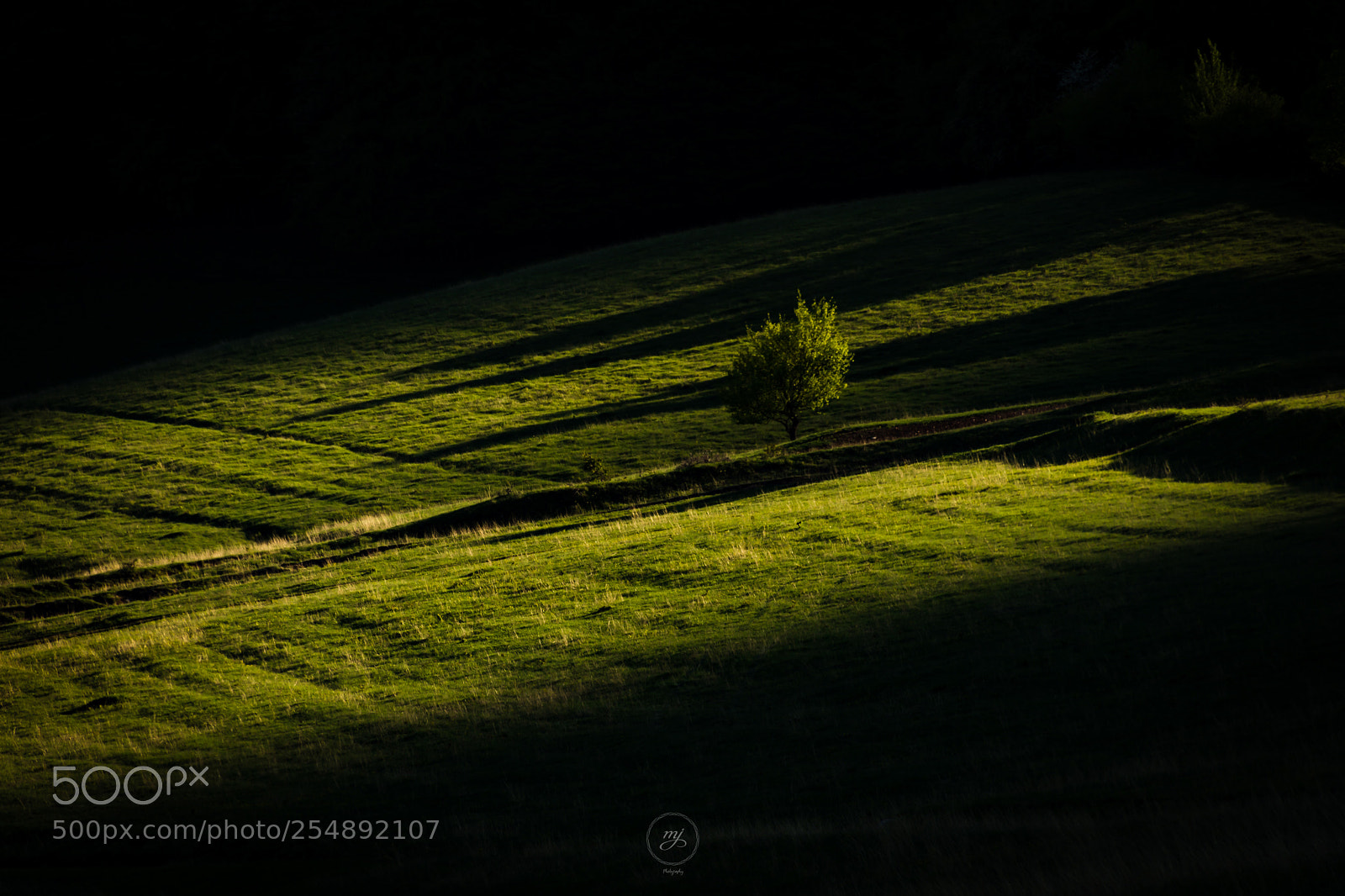Nikon D7200 sample photo. Lights & shadows photography