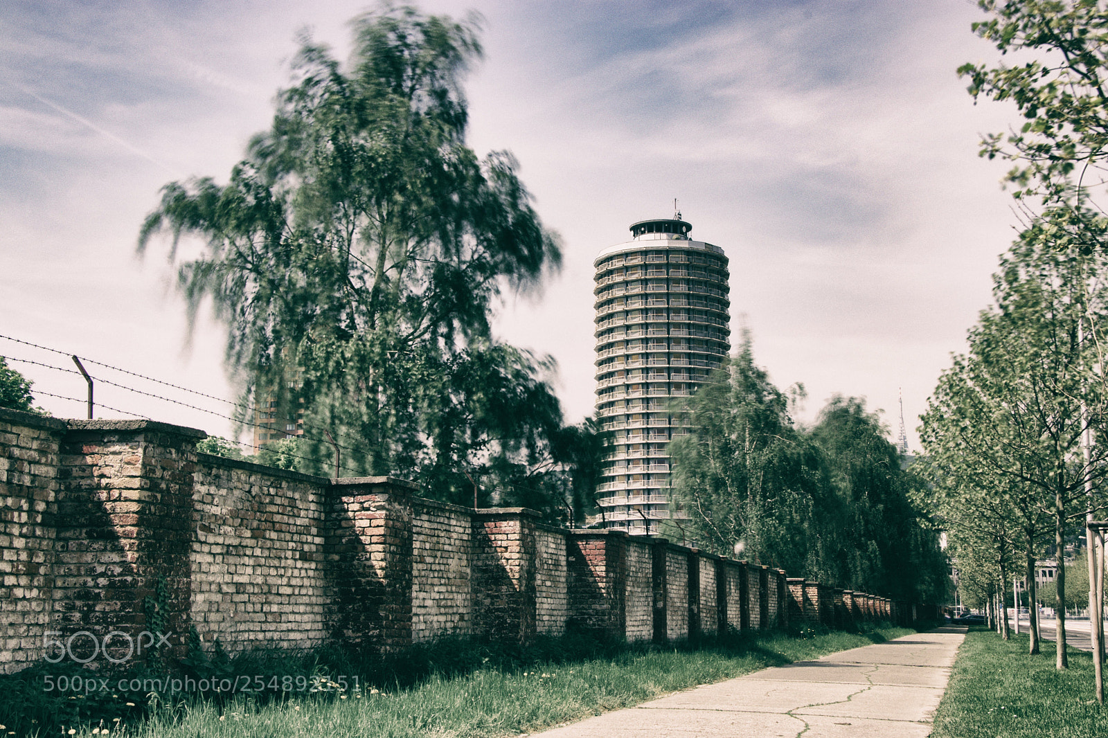 Canon EOS 80D sample photo. Bratislava - kukurica photography