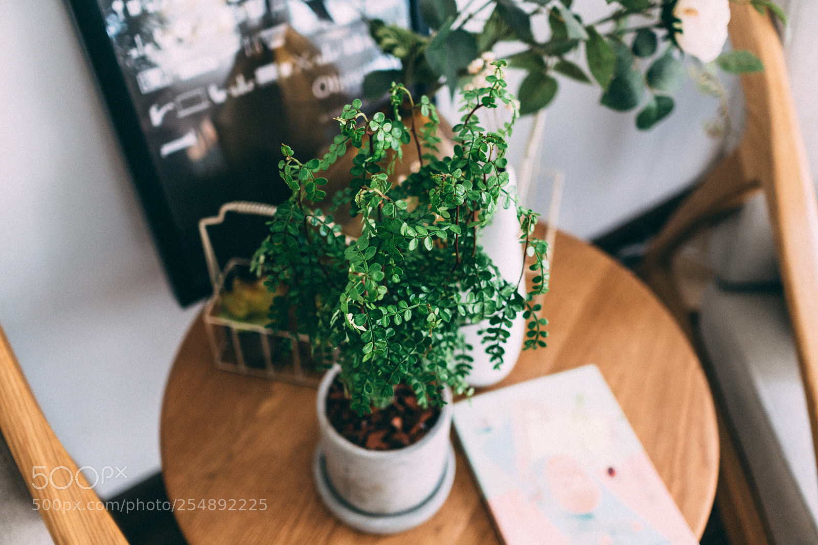 Sony a6300 sample photo. Dsc02327-1.jpg photography