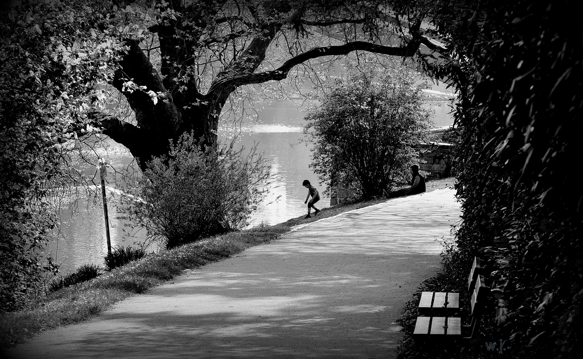 Sigma 70-200mm F2.8 EX DG OS HSM sample photo. Playing at the pond photography
