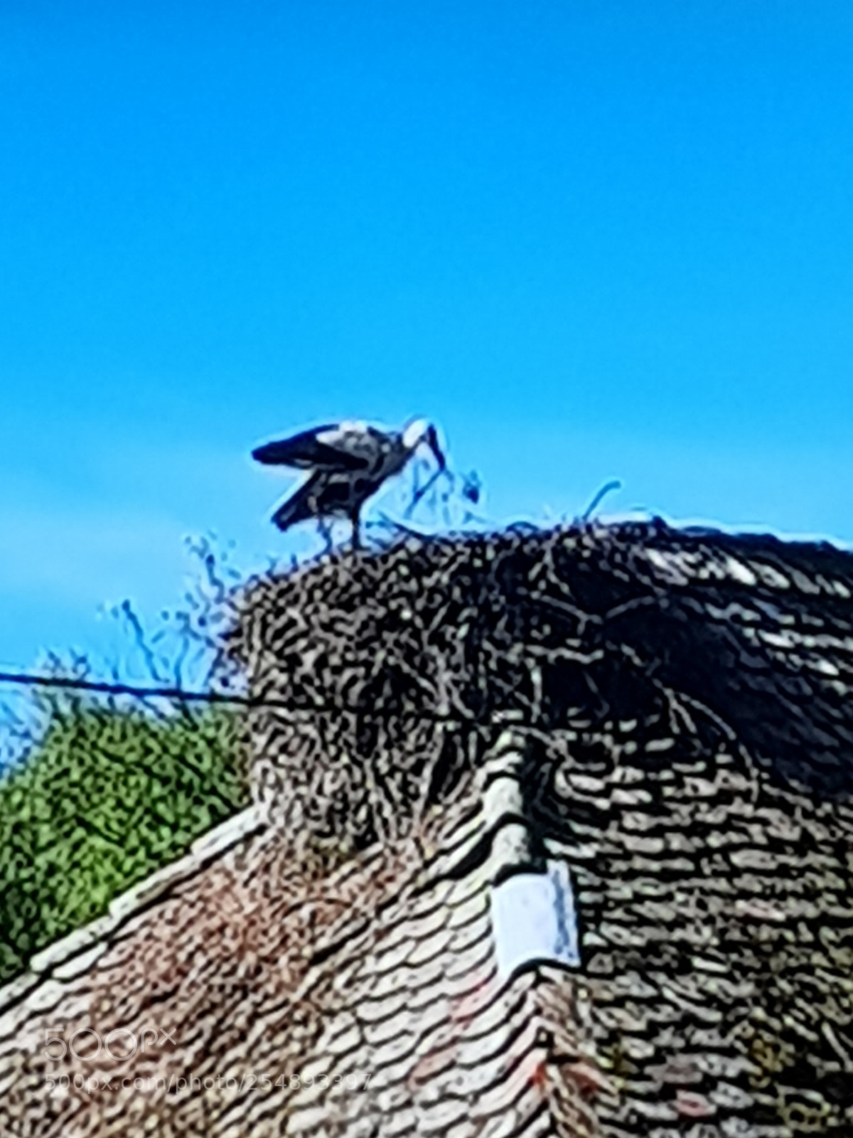 Samsung Galaxy S8 sample photo. Untitled photography