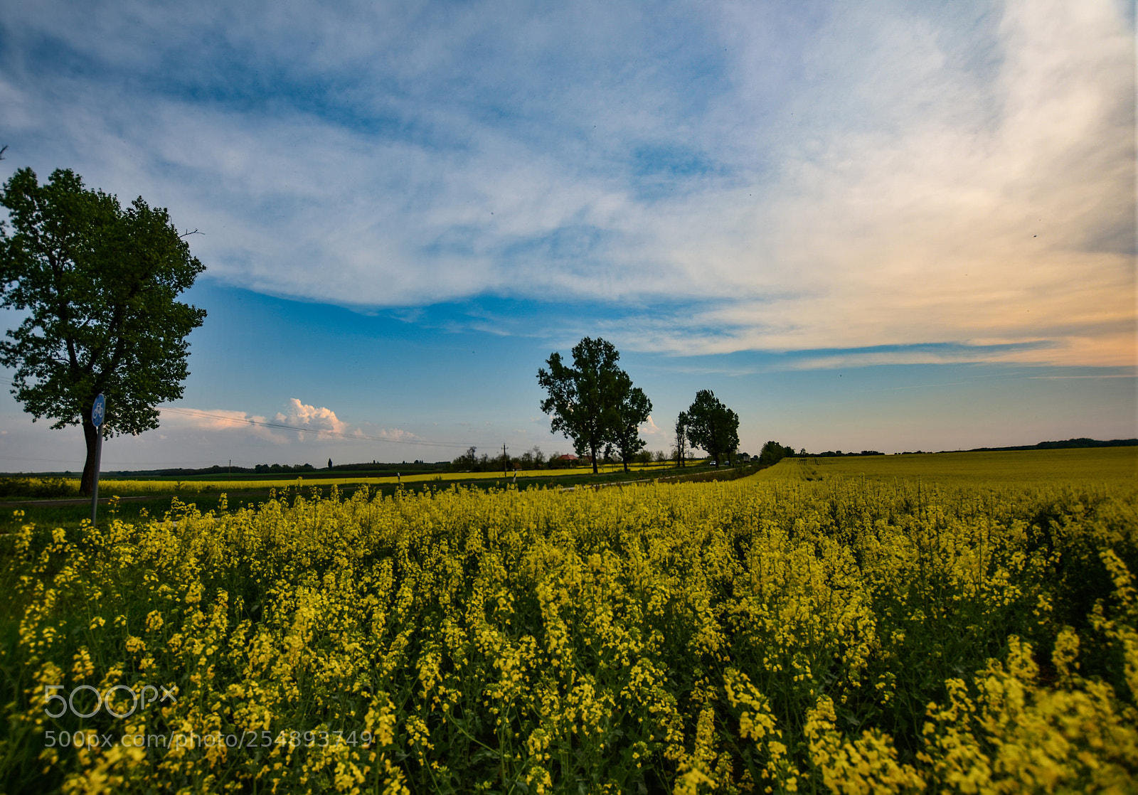 Nikon D7200 sample photo. Untitled photography