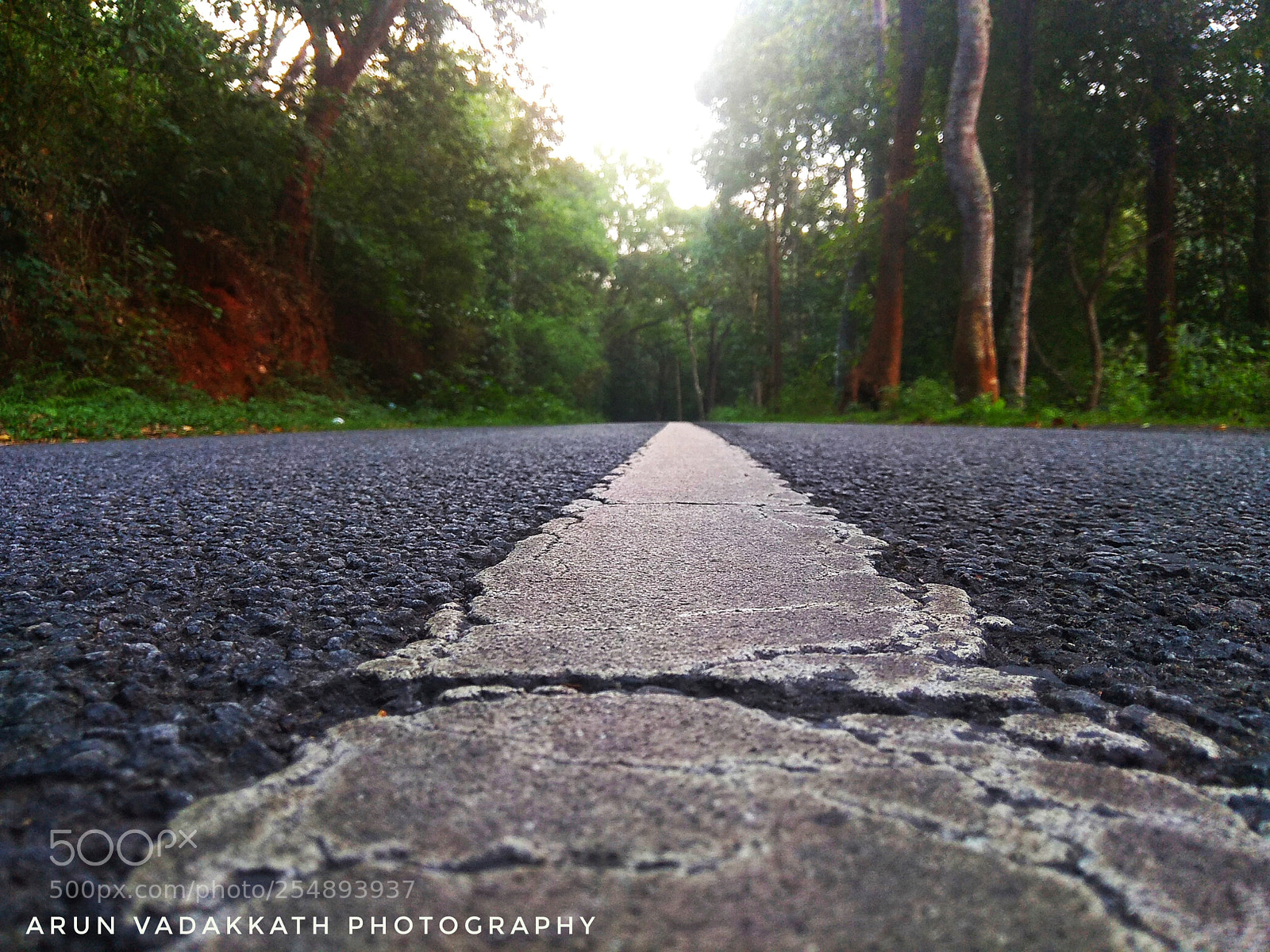 Xiaomi Redmi Note 4 sample photo. An endless venture photography