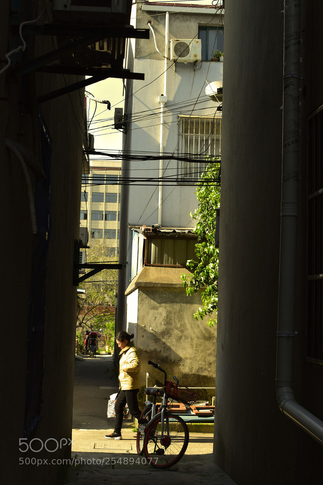 Nikon D5300 sample photo. () photography