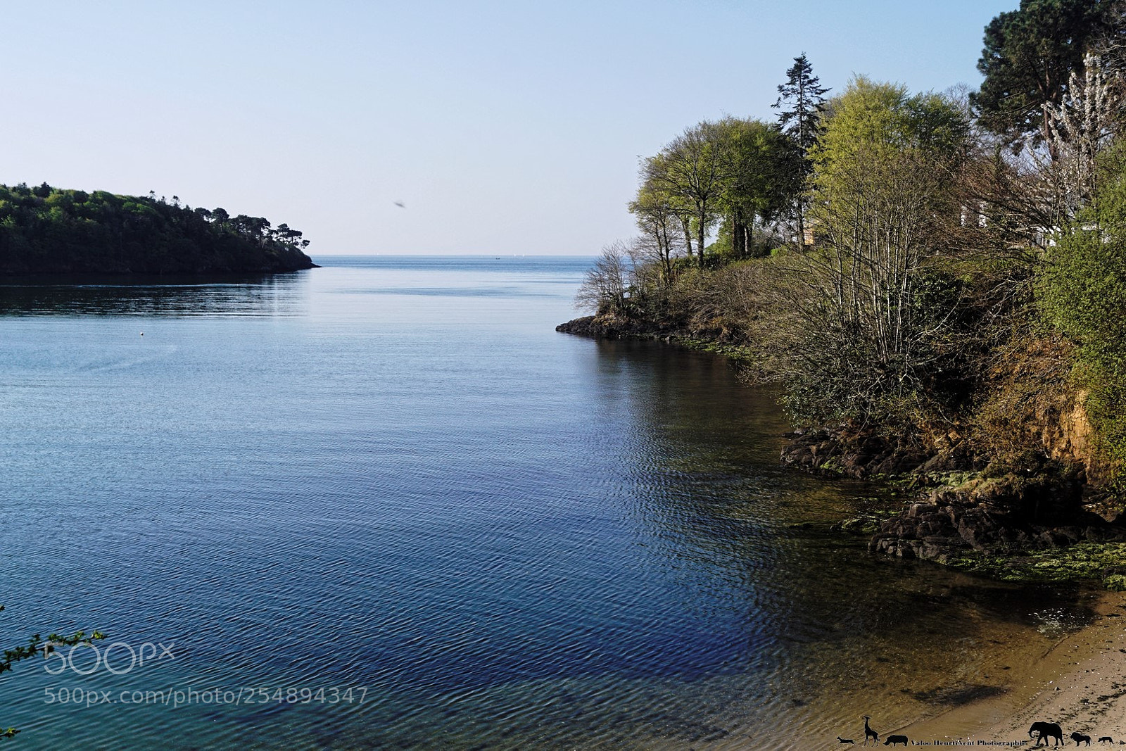 Sony SLT-A68 sample photo. Nature photography