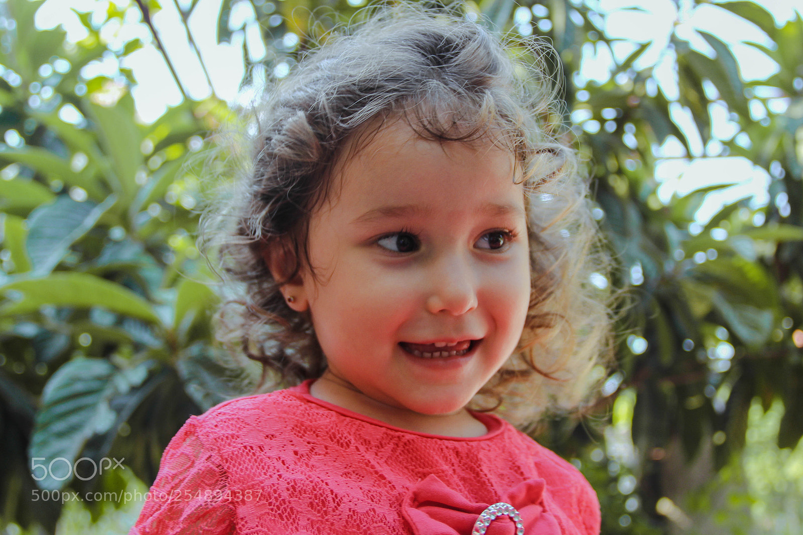 Canon EOS 60D sample photo. [] photography