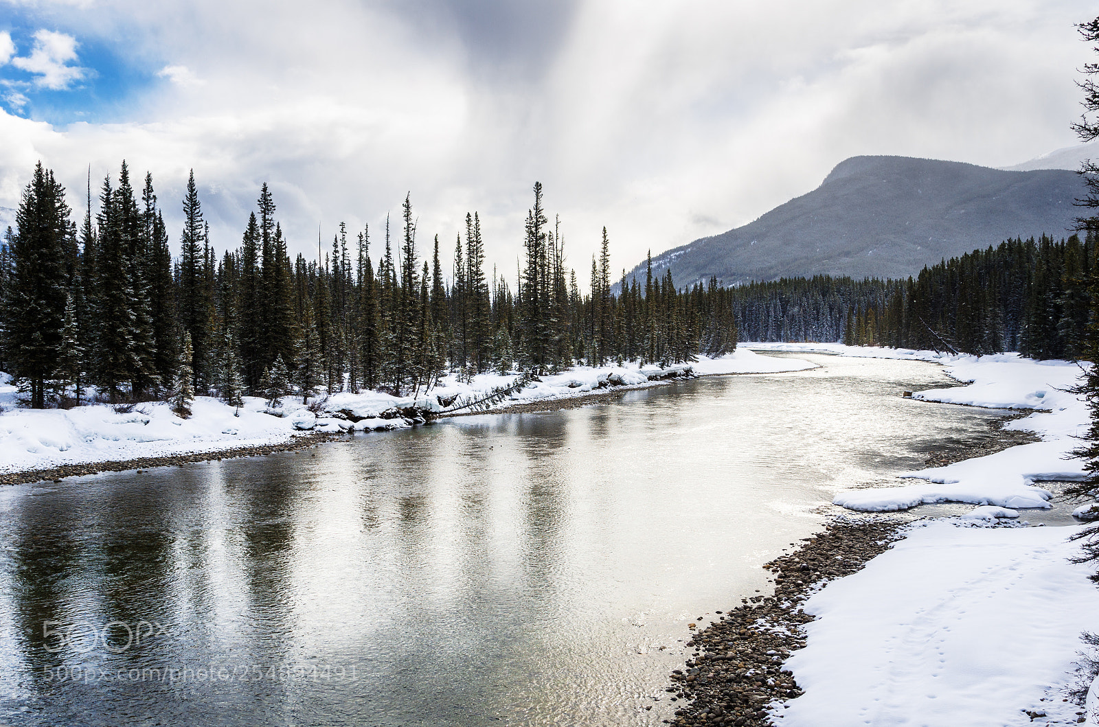 Nikon D7000 sample photo. Bow river on a photography