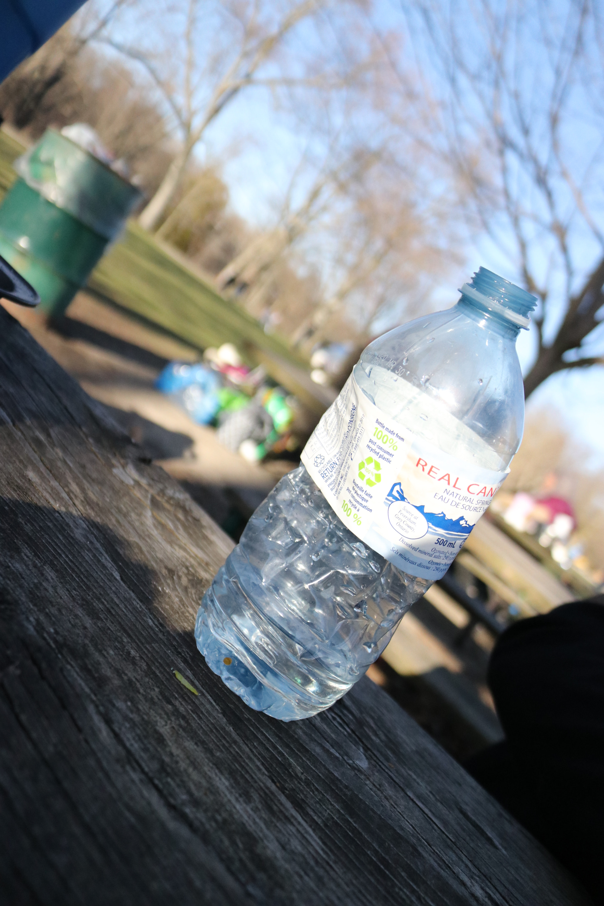 Canon EOS 80D sample photo. No water photography