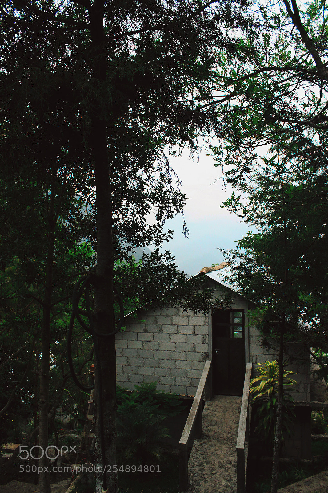 Canon EOS 600D (Rebel EOS T3i / EOS Kiss X5) sample photo. Hogar photography