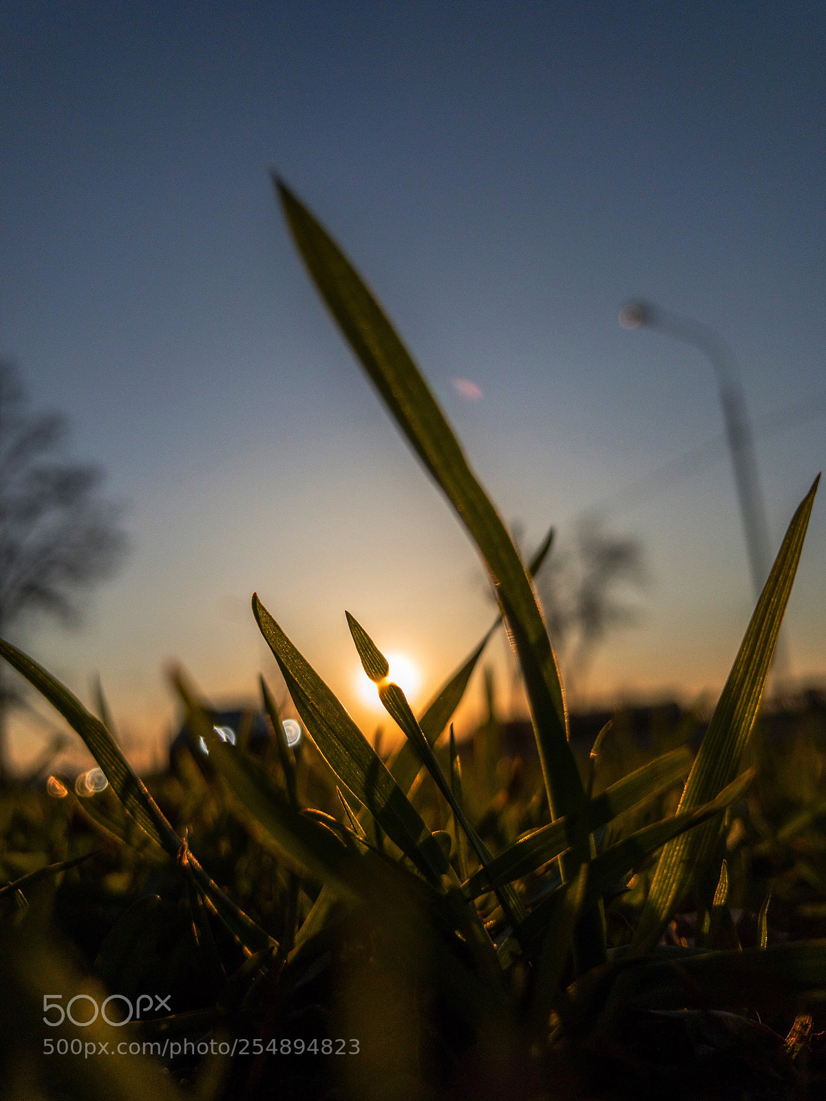 Apple iPhone 7 Plus sample photo. Sunset. iphoneography photography