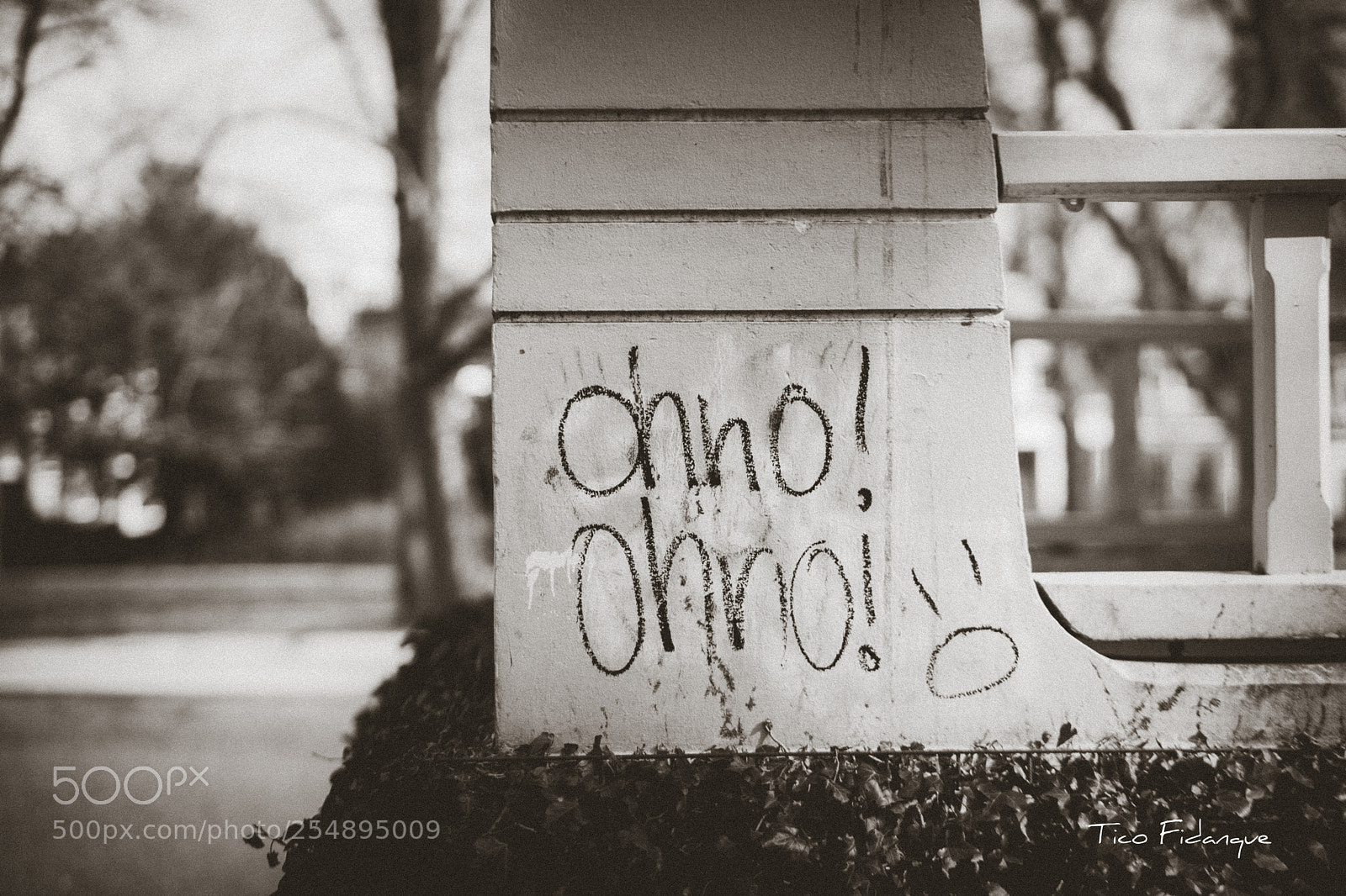 Canon EOS 5D Mark II sample photo. Oh no! oh no! photography