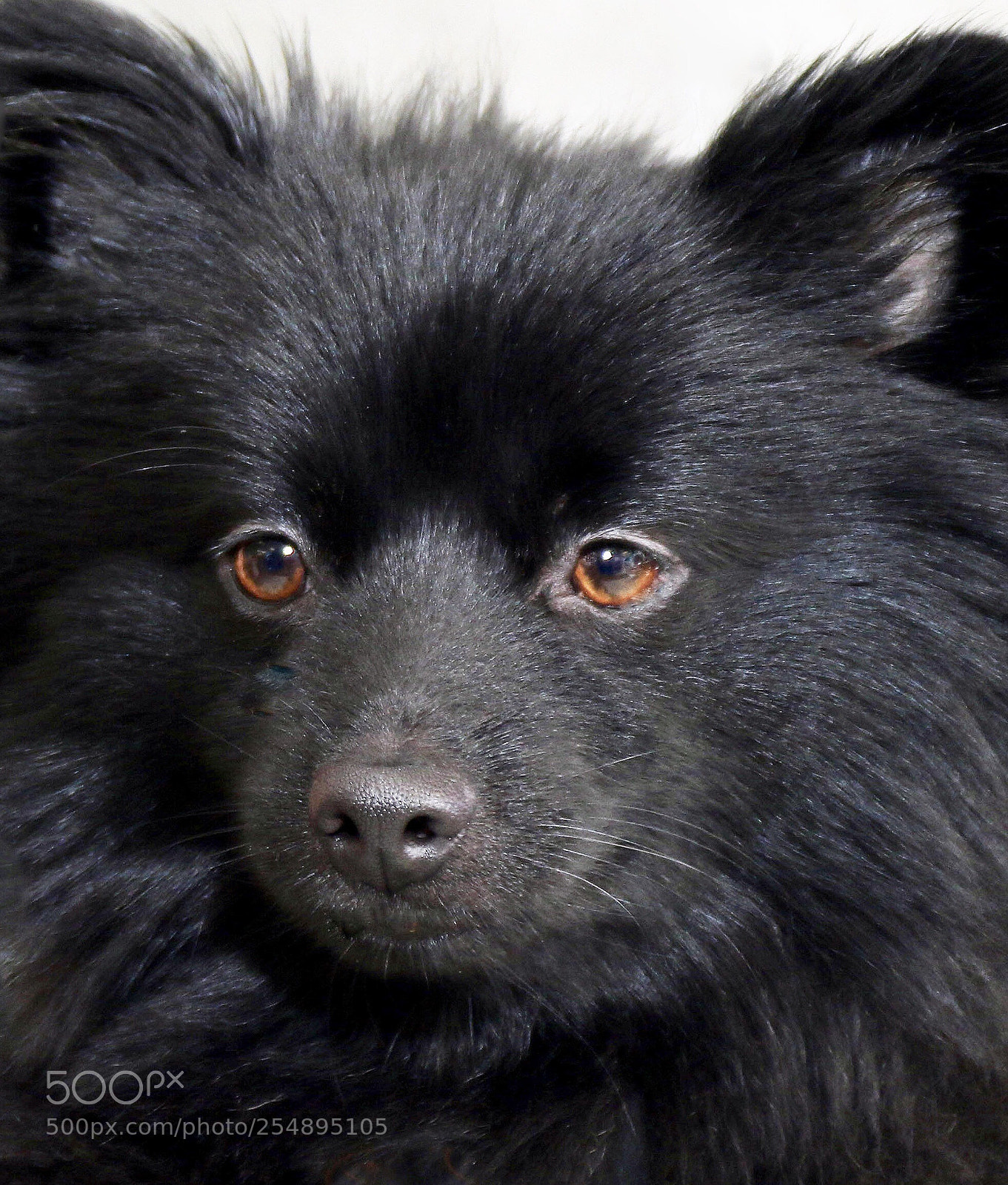 Canon EOS 7D Mark II sample photo. My  good   side photography