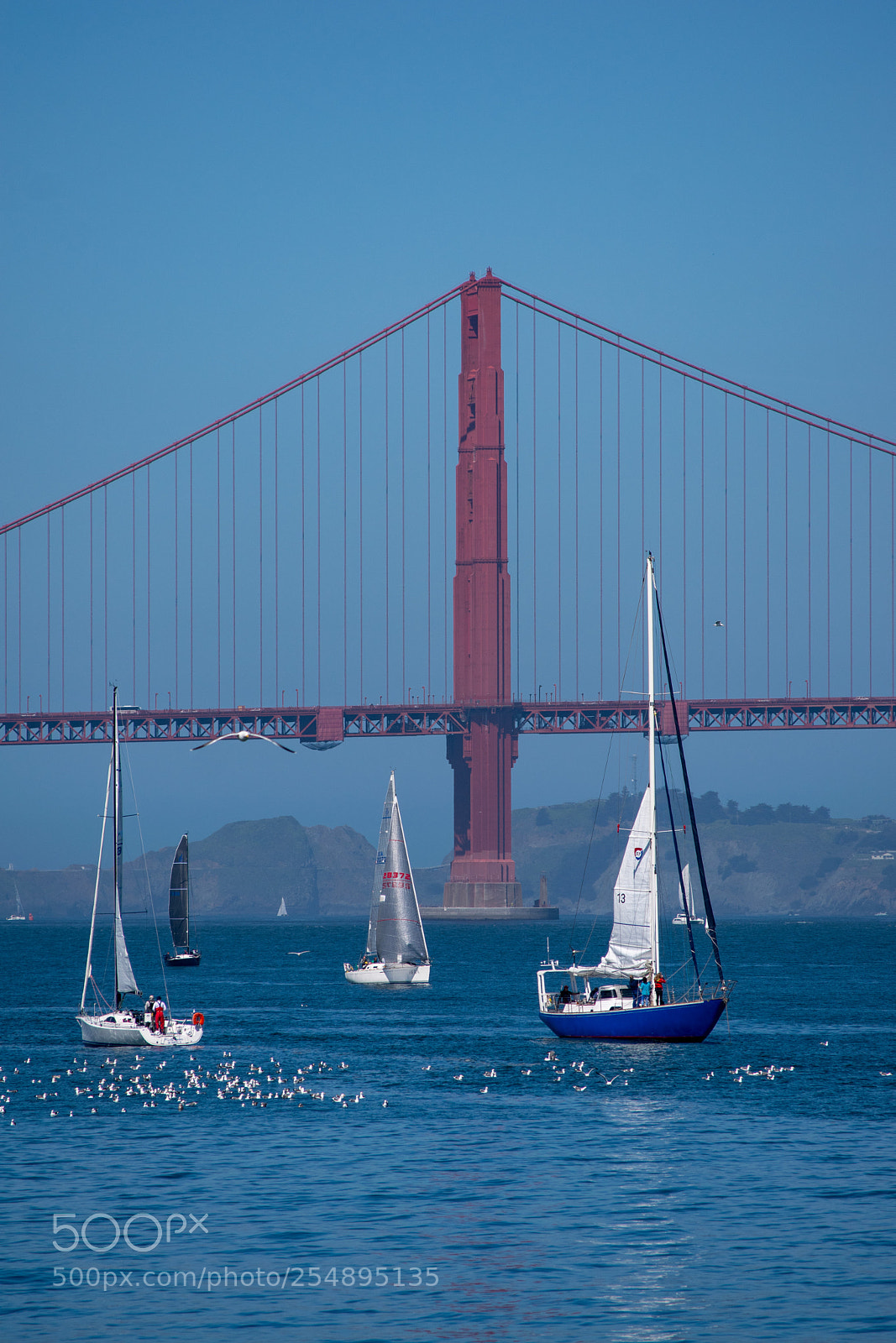 Nikon D5300 sample photo. Sail boats on the photography